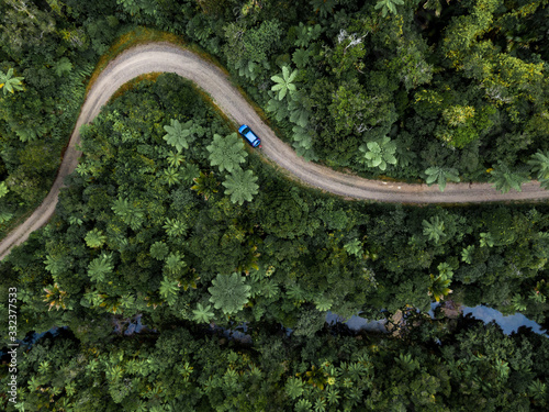 Road with a car in a jungle, aerial view