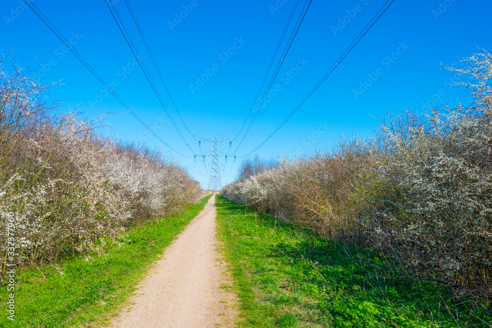 Transmission tower over a path in a field below a blue sky in spring Transmission tower over a path in a field below a blue sky in spring