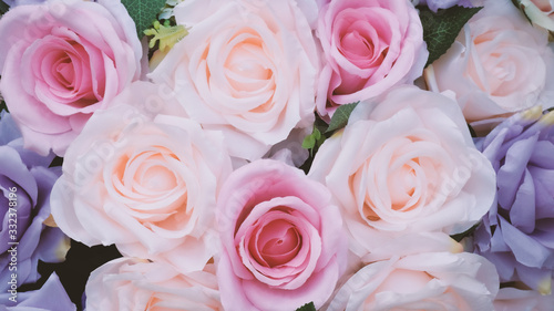 Blurred of Rose flowers blooming. in the pastel color style for background.