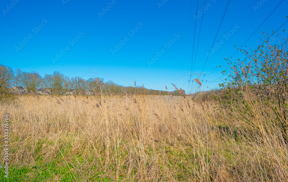 Obraz premium Transmission tower over an agricultural field below a blue sky in spring