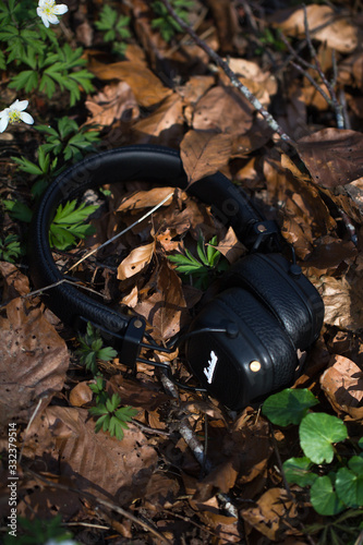 Headphone on a springly frorest floor photo