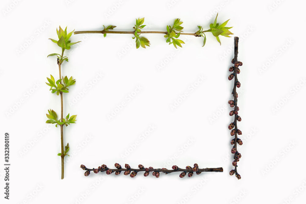 Frame of sprig of cherry with buds and twigs with new leaves. Place for text.Mock-up