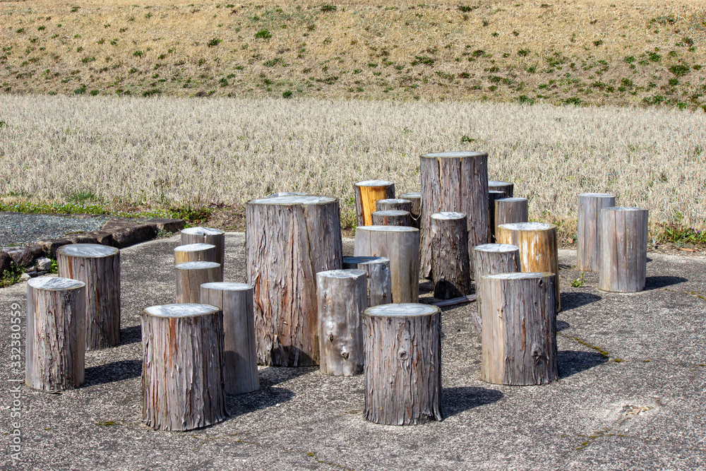 切り株のイス Stumps used as chairs outside in the garden 切り株のイス Stumps used as chairs outside in the garden