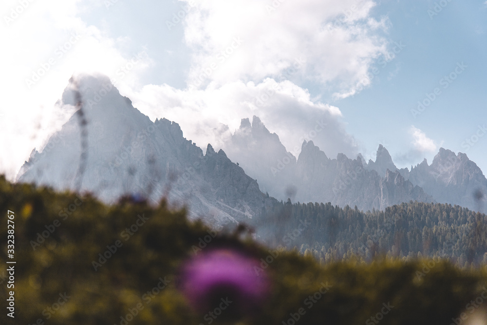 Dolomites mountain sunny layers with a flower