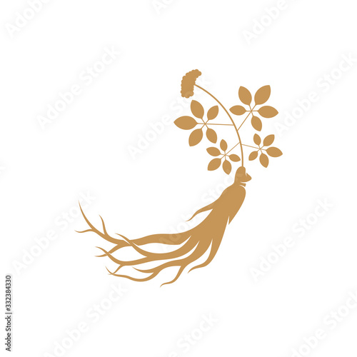 Ginseng logo design vector template. Ginseng root on white background