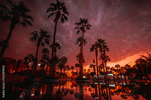 Beautiful sunset with palms, mosque on background and reflection on the water. Aqaba, Jordan.