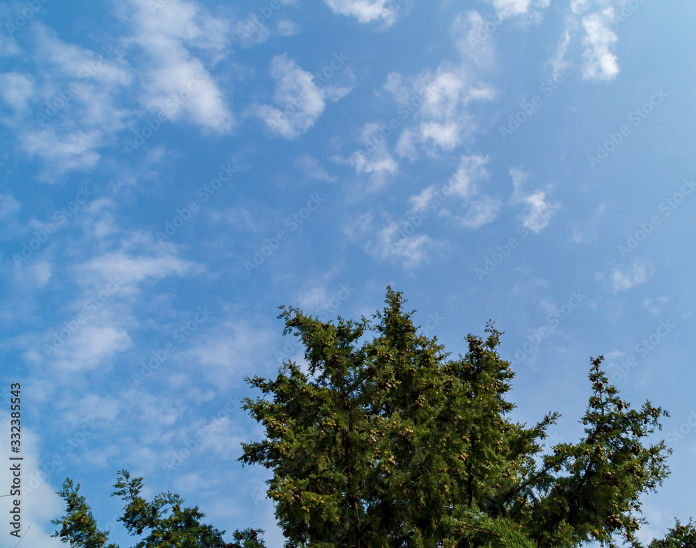 Cielo e nuvole in una giornata di primavera Cielo e nuvole in una giornata di primavera