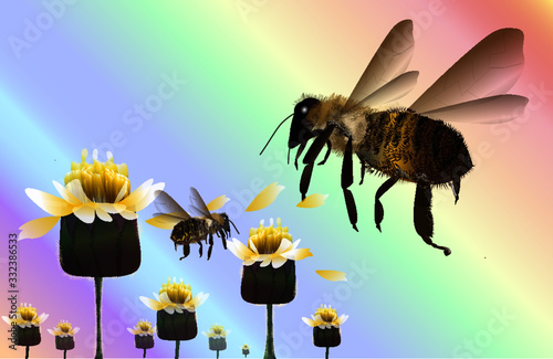 bee on flower