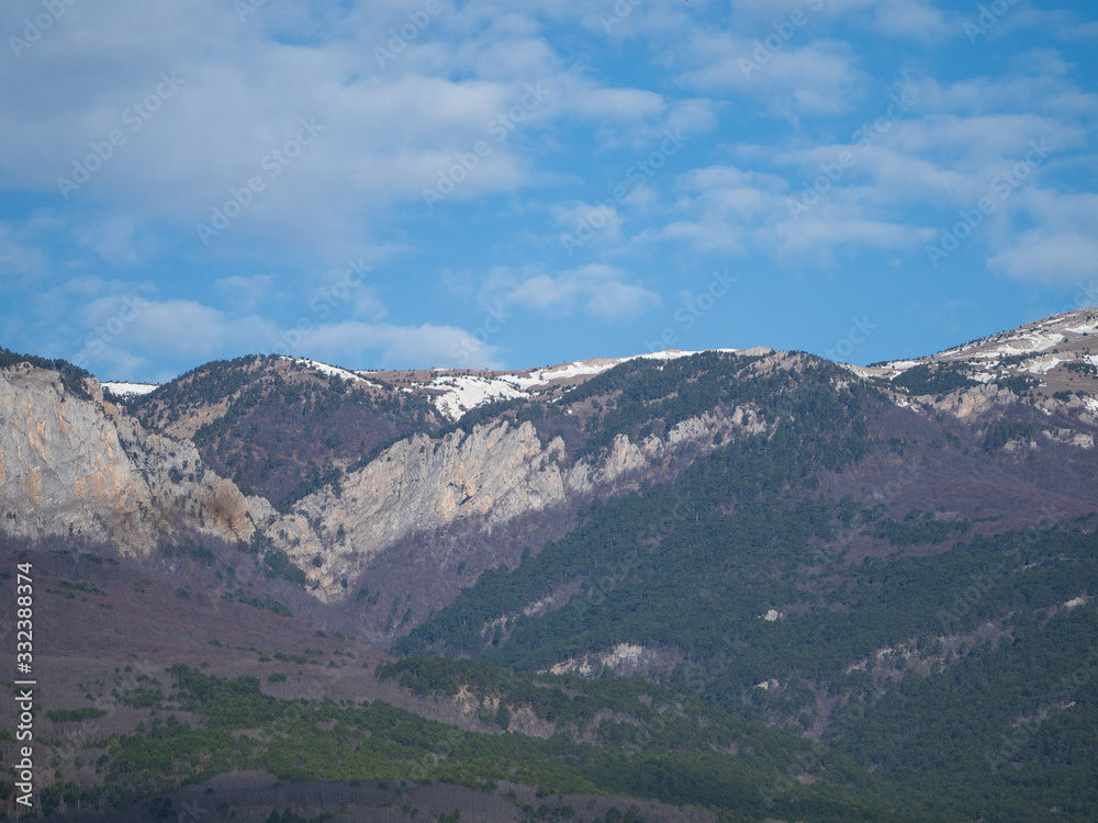 Panoramic view of mountain landscape with fir forest and snow on a sunny day.