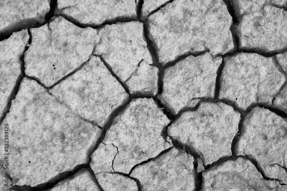 Obraz premium Pattern ground field that is broken from drought in the summer black and white tone (monochrome) close-up.