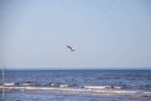 The harsh White sea. Cold summer day on Yagry island  Severodvinsk