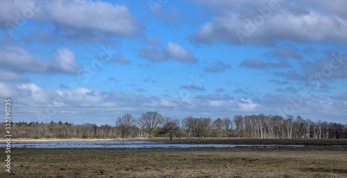 Peet and heatherfields. Drents-Friese Wold National Park. Doldersumse veld. Netherlands.