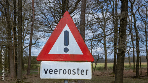 Peet and heatherfields. Drents-Friese Wold National Park. Doldersumse veld. Netherlands. photo