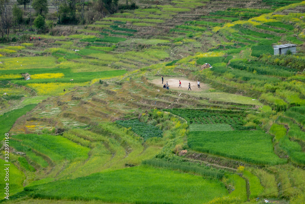 Fototapeta premium The Green Terraced Hills of Nepal