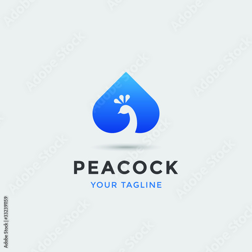 modern awesome peacock logo for any related business