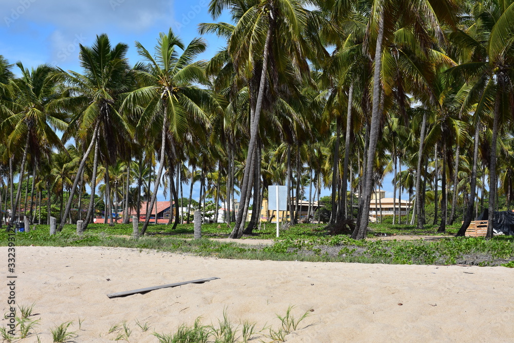 porto de galinhas