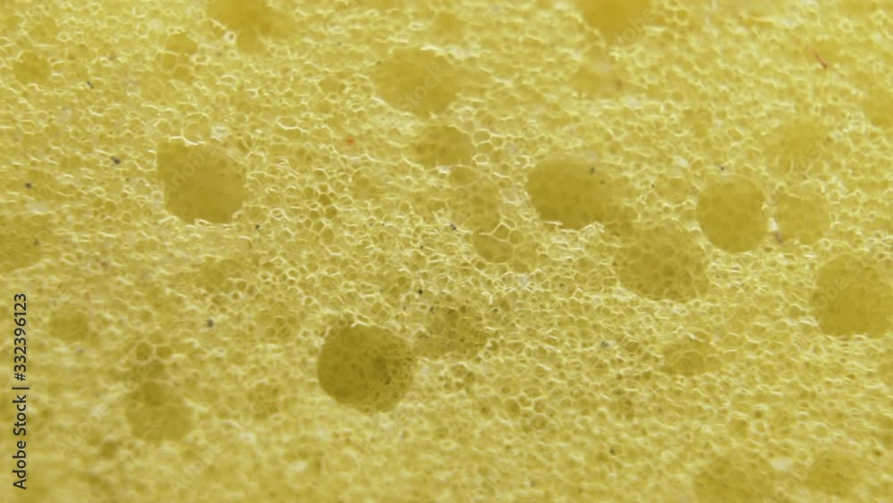 Macro shot of the yellow sponge. Detailed sponge texture background Macro shot of the yellow sponge. Detailed sponge texture background