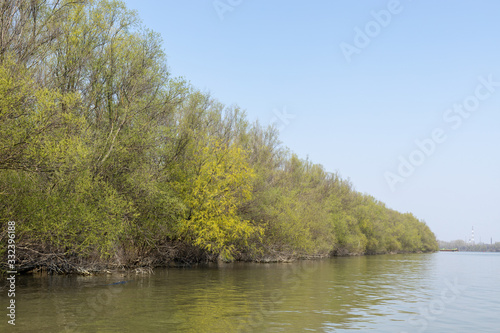 Wallpaper Mural Danube River With Forest In The Background On The Sunny Day Torontodigital.ca