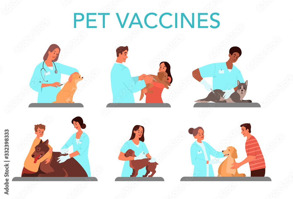 Pet vaccination set. Veterinary doctor making a vaccine injection