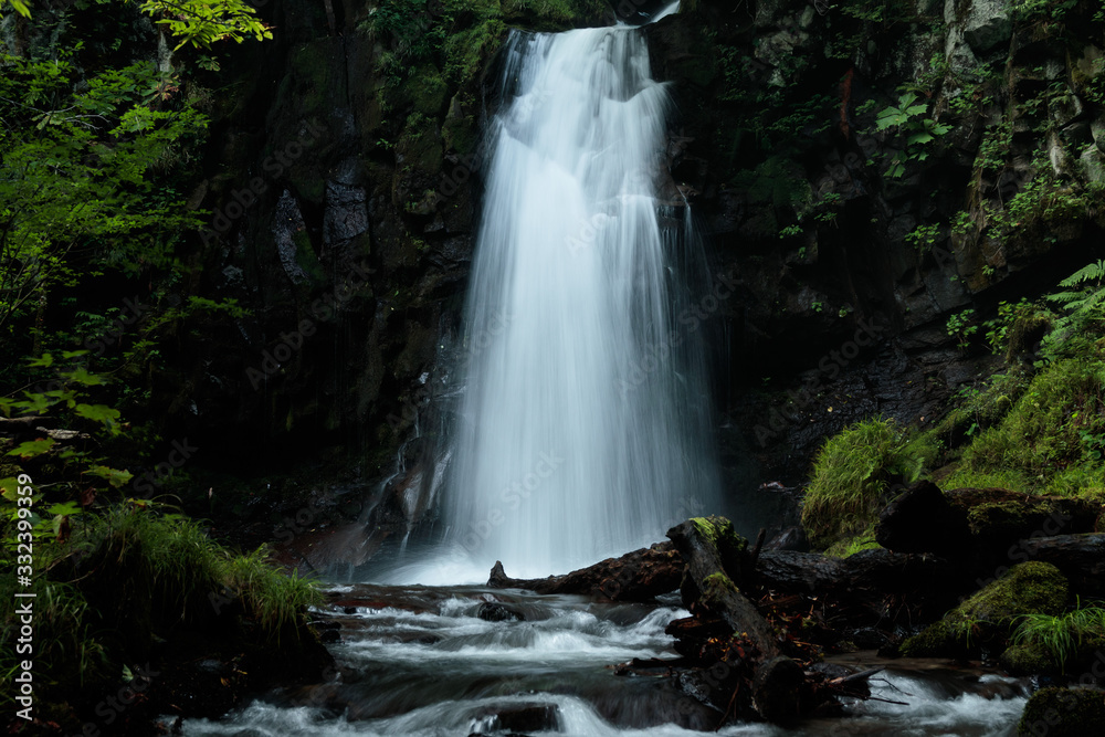 Naklejka premium 滝