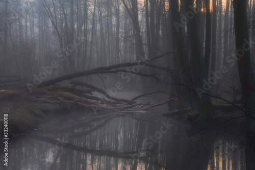 Mrok wschodu słońca