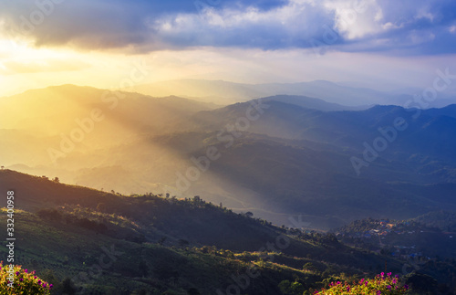 sunset landscape view at mountains doi chang mup Chiangrai,nothern Thailand selective focus at pink impatiens balsamina flowers in foreground

 photo