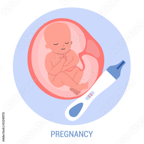 Baby in womb and positive pregnancy test. In vitro fertilization result.