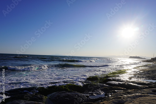 太陽と海 © singleup
