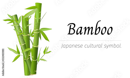 Japanese banner for text with bamboo. Vector illustration on a white background.
