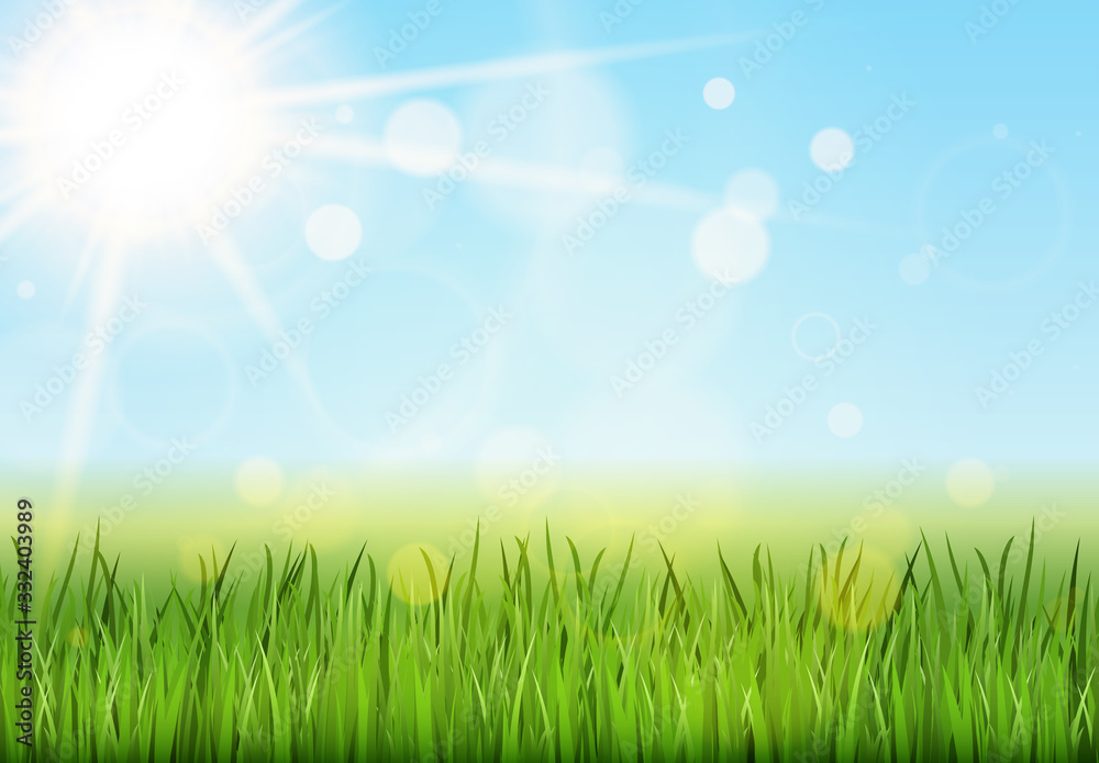 floral grass panorama background