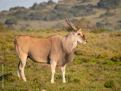 Eastern Cape