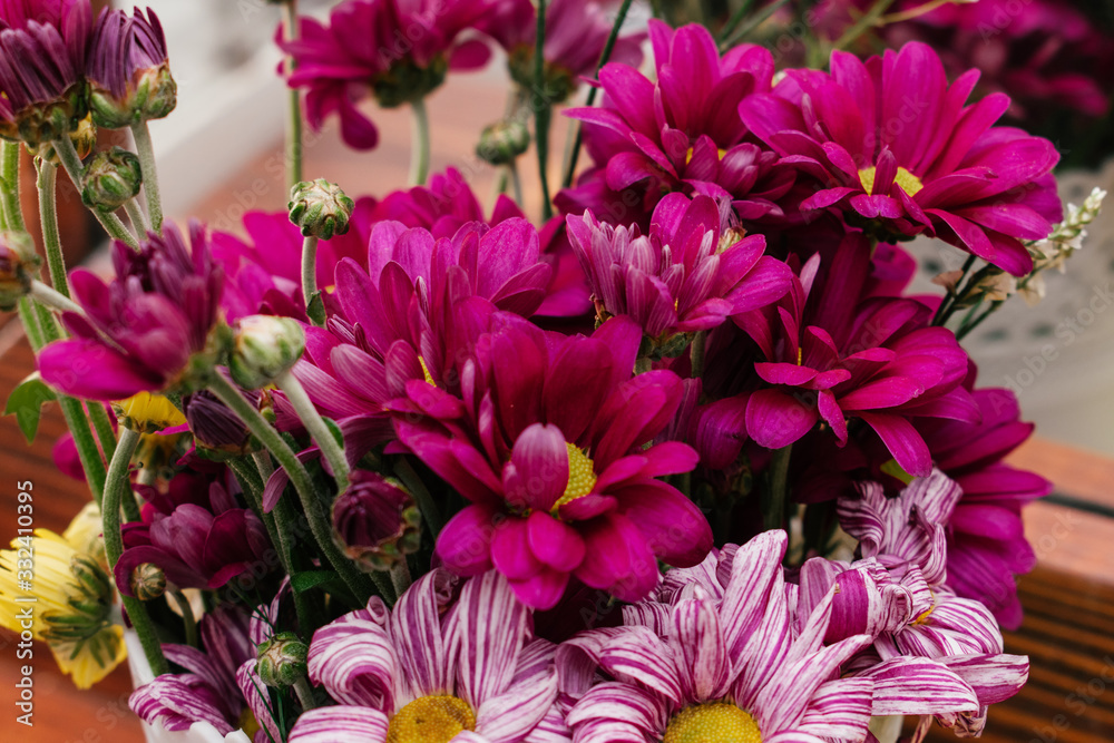 Obraz premium Bouquet of colorful chrysanthemums close up.Present concept for Birthday, mother's Day, 8 March.Selective focus.Blurred background.