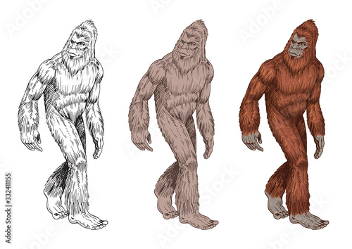 big foot hand drawn illustration