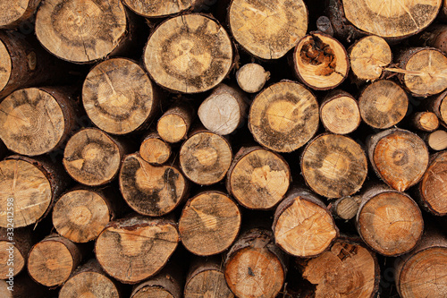 Fireplace wood logs texture