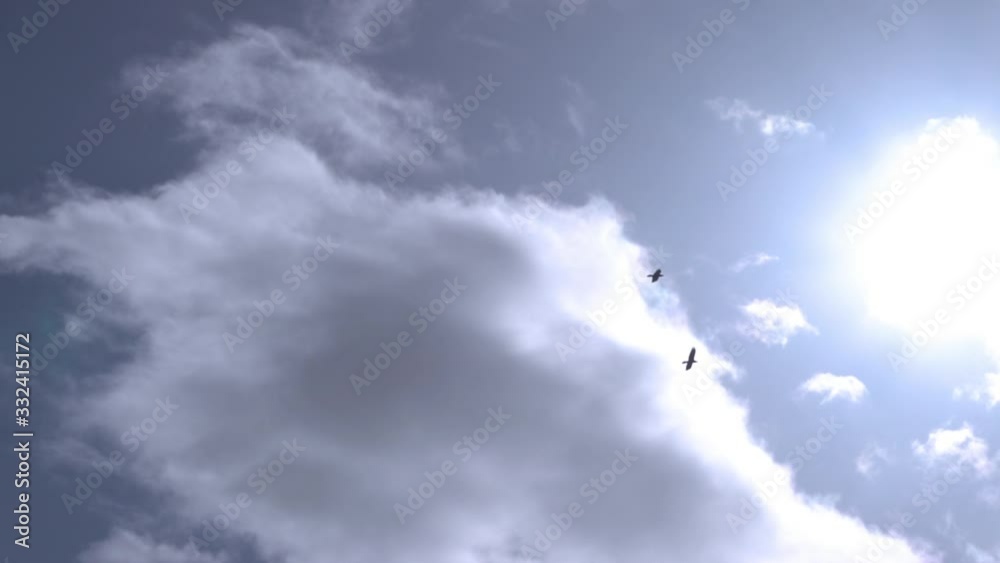 Pair of ravens flying under sun in wide open sky slow motion.mov Pair of ravens flying under sun in wide open sky slow motion.mov