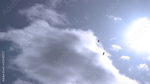Wallpaper Mural Pair of ravens flying under sun in wide open sky slow motion.mov Torontodigital.ca