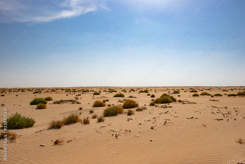 Rub al Khali the empty quarter between Oman and Saudi Arabia near Salalah Rub al Khali the empty quarter between Oman and Saudi Arabia near Salalah