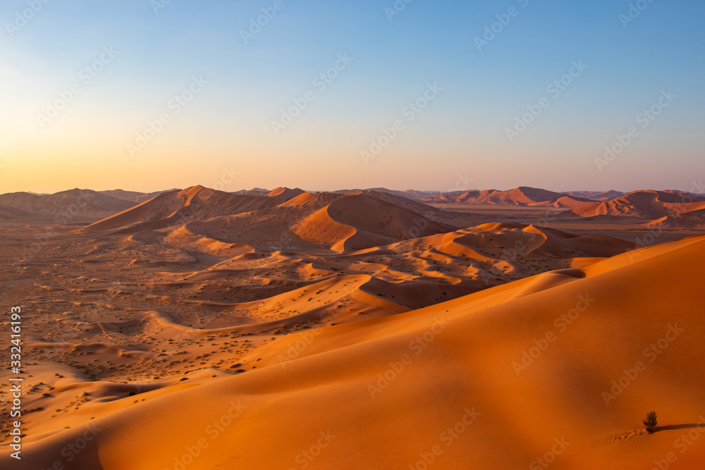 Fototapeta premium Dunes in Rub al Khali the empty quarter between Oman and Saudi Arabia near Salalah