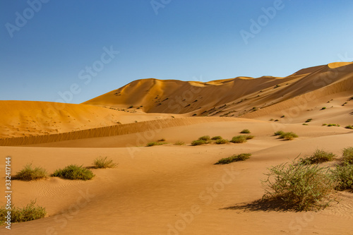 Dunes in Rub al Khali the empty quarter between Oman and Saudi Arabia near Slalah