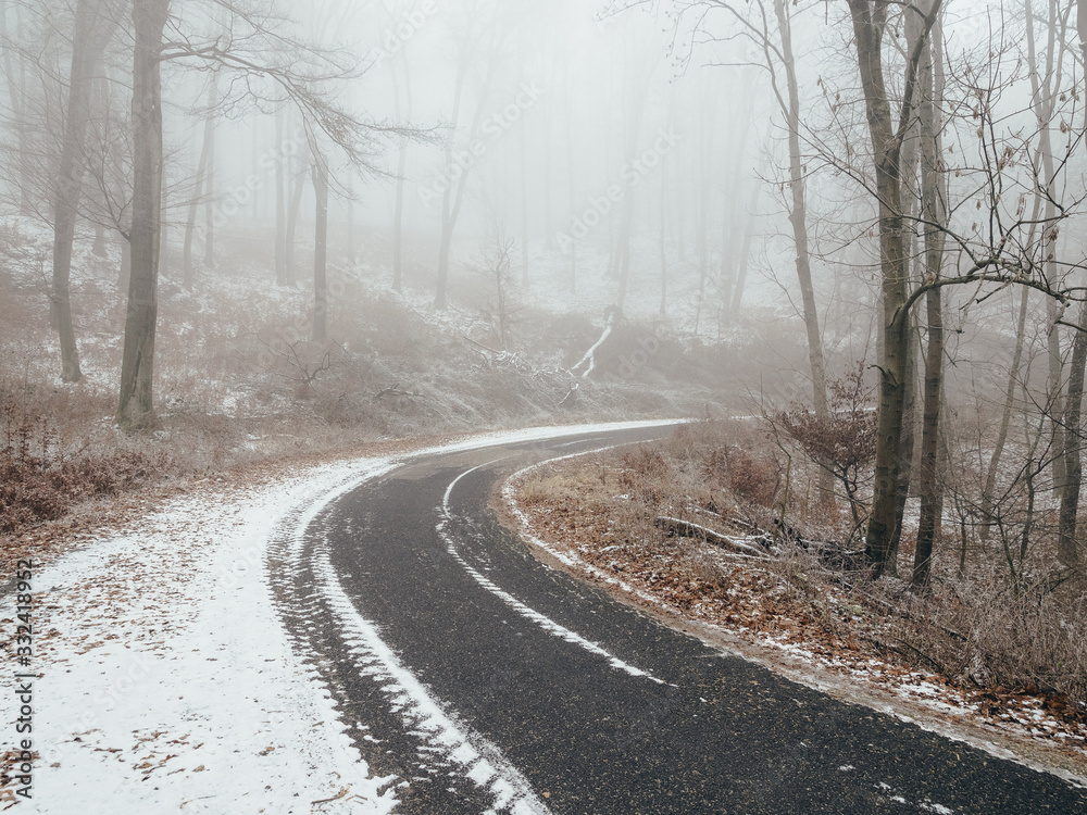 Winter road in forest