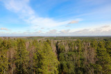 Horizon line where tree crowns meeting the blue sky. View at the nature park of Ogre, Latvia from avobe.