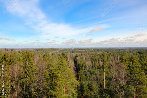 Horizon line where tree crowns meeting the blue sky. View at the nature park of Ogre, Latvia from avobe.