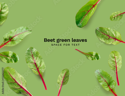 Flat lay with salad leaves. Beet green leaves flat design on green background with copy space
