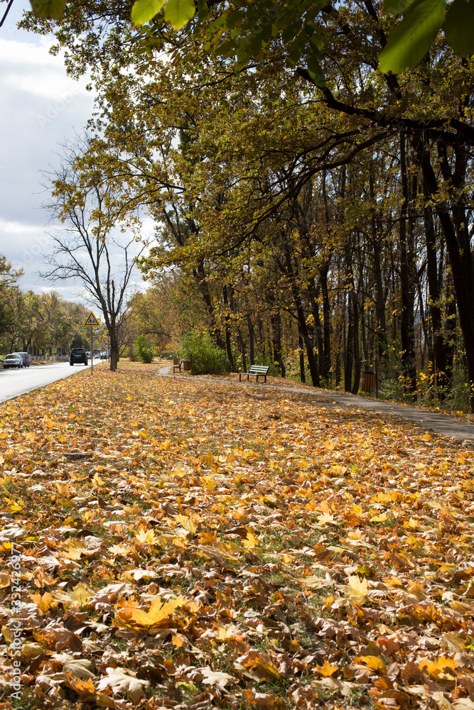 Wonderful autumn days in the city park. Wonderful autumn days in the city park.