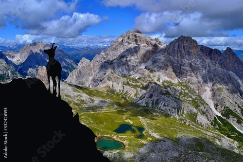 Mountain background with black silhouette of mountain goat in front. Dolomites, Italy. 