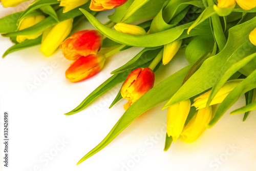 Bright flowers, tulips.