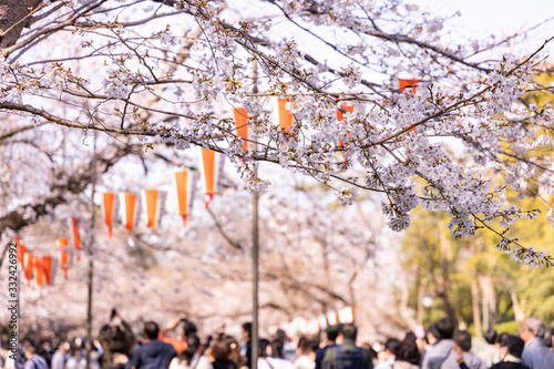 Konstfotografi 上野公園の桜