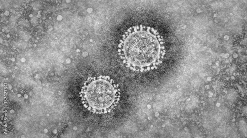 Foto novel virus