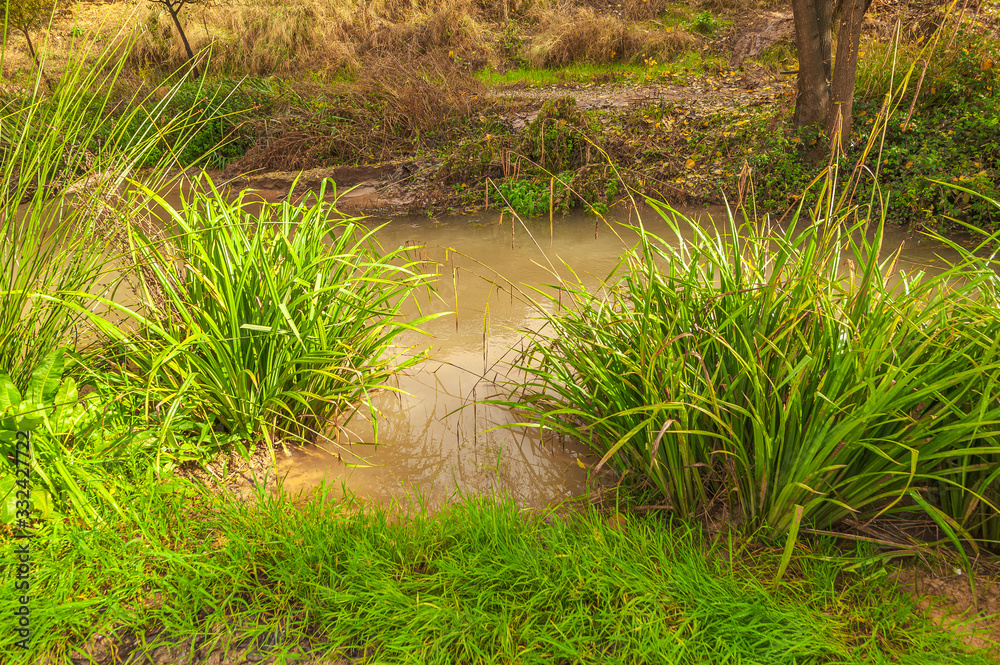 Picturesque view of Natural Habitat in 