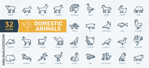 Domestic Animals Icons Pack. Thin line animal icons set. Flaticon collection set. Simple vector icons photo